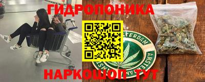 стаф Шахты