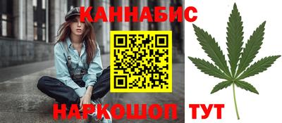 стаф Шахты