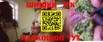 стаф Шахты