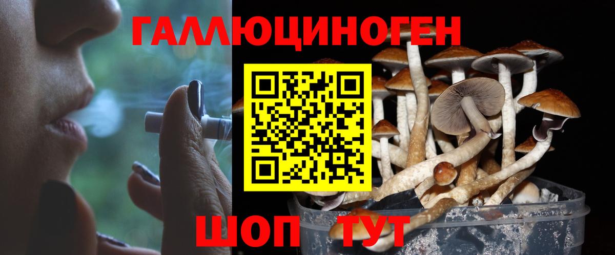Псилоцибиновые грибы Psilocybine cubensis  Псилоцибиновые грибы MAGIC MUSHROOMS  Вход с VPN  наркошоп  Ачхой-Мартан 