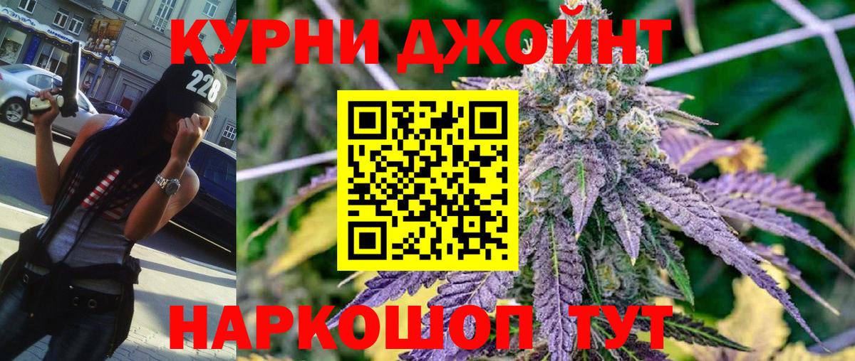 Бошки Шишки тримм Ачхой-Мартан